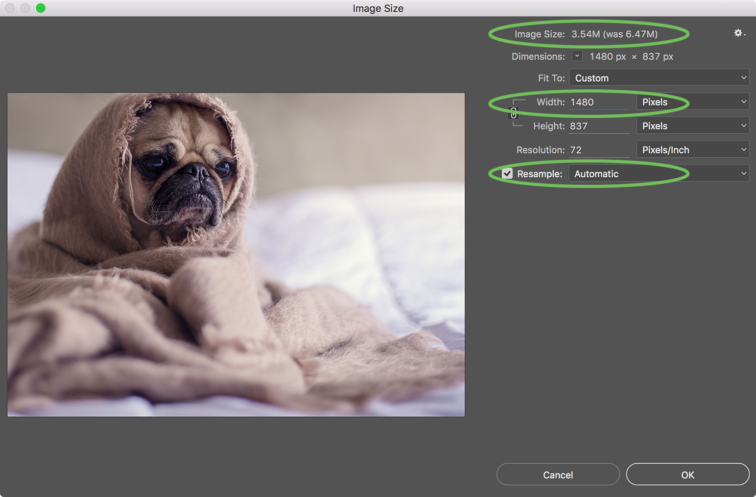 Photoshop resize image downsample settings